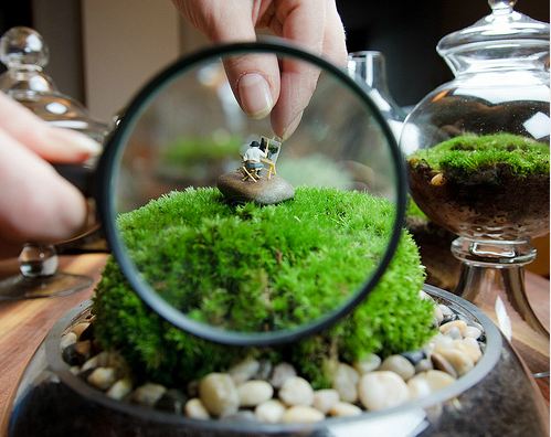 zoomed in on terrarium with a figure