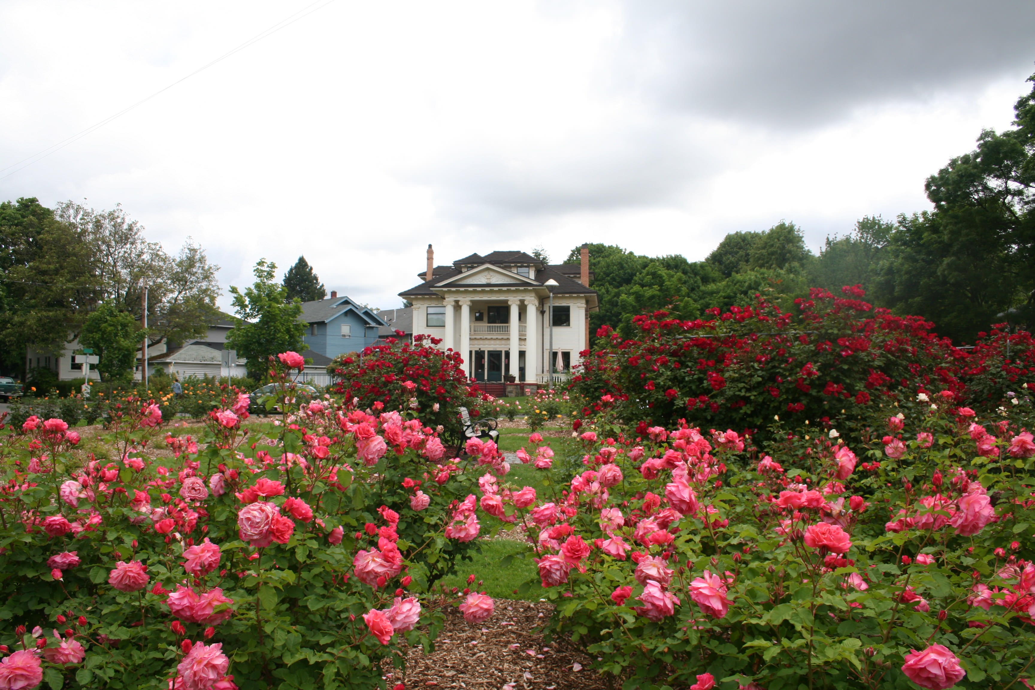 Rose garden with mansion in the Ladd