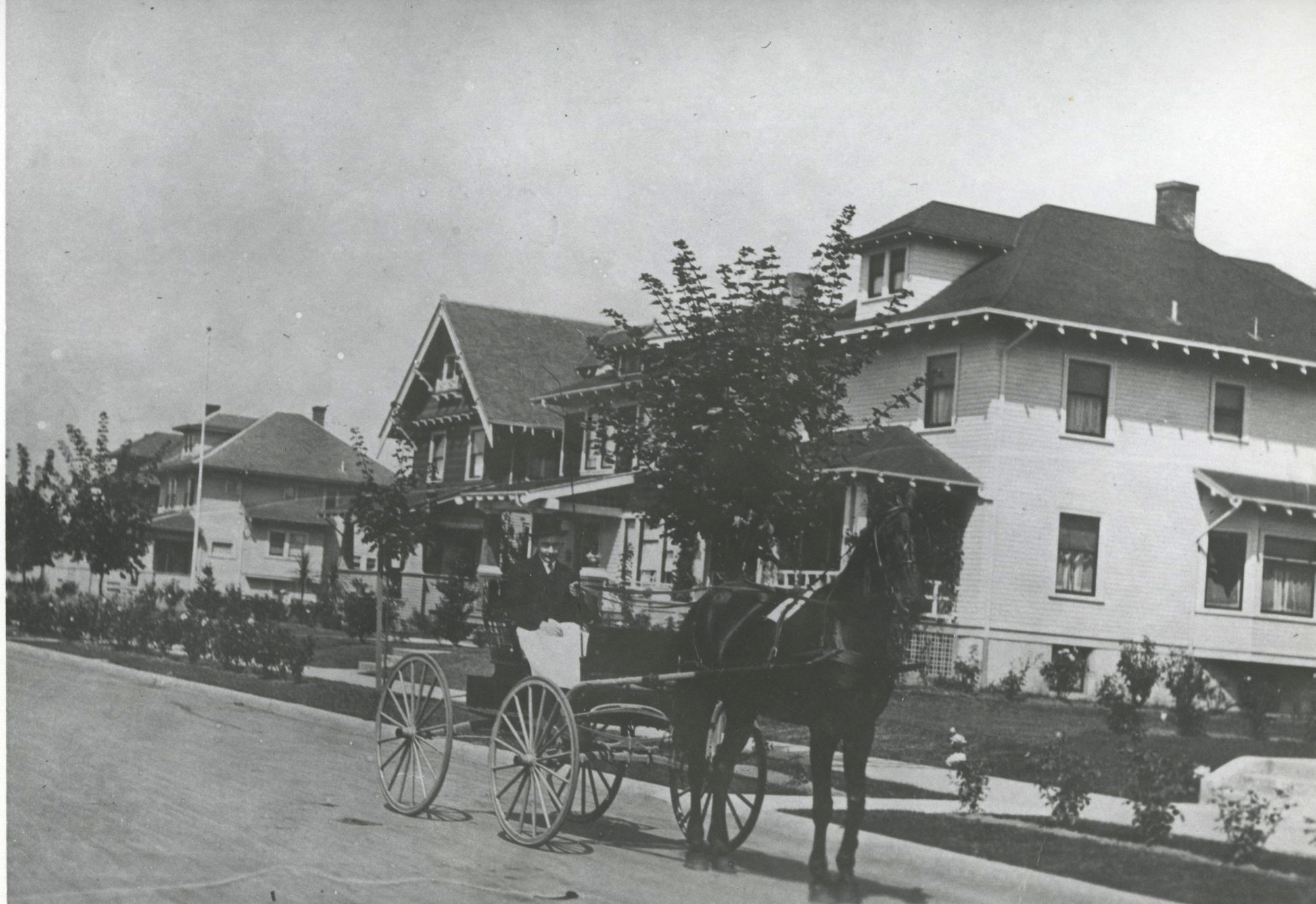 Vintage horse drawn carrige in the Ladd