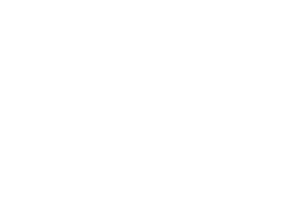 The American Indian College Fund Logo