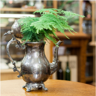 A teapot planter