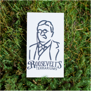 The Roosevelt's Terrariums logo card on moss