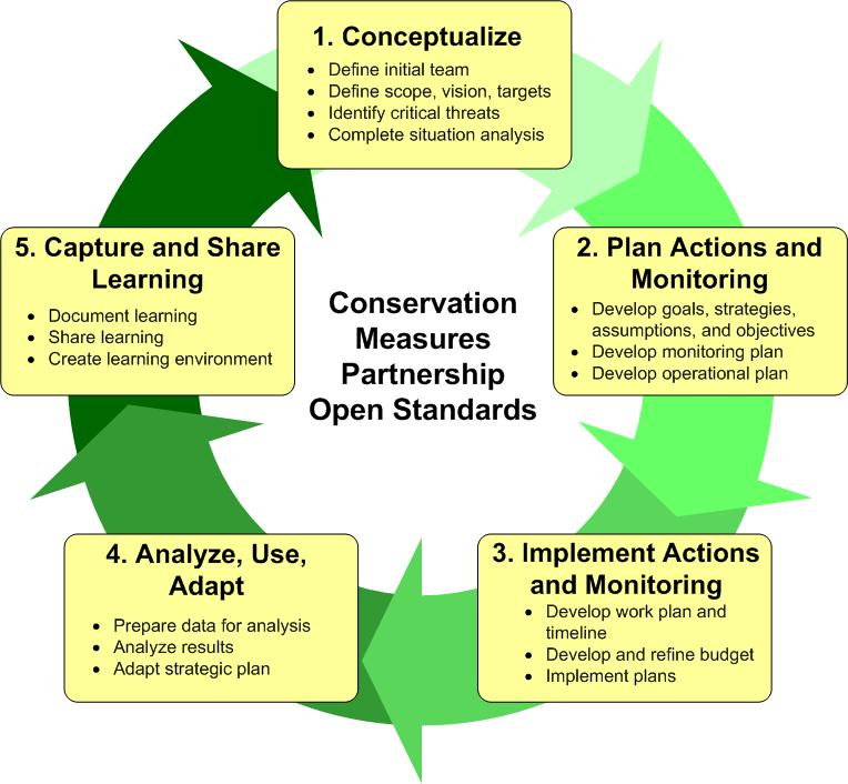 adaptive management cycle