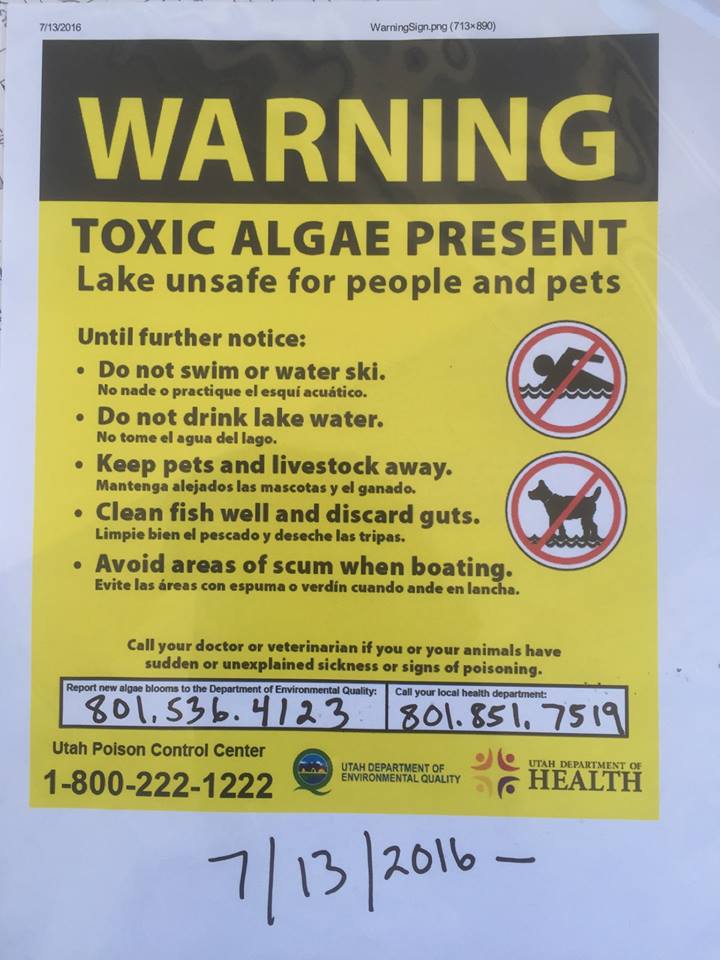 toxic algae sign