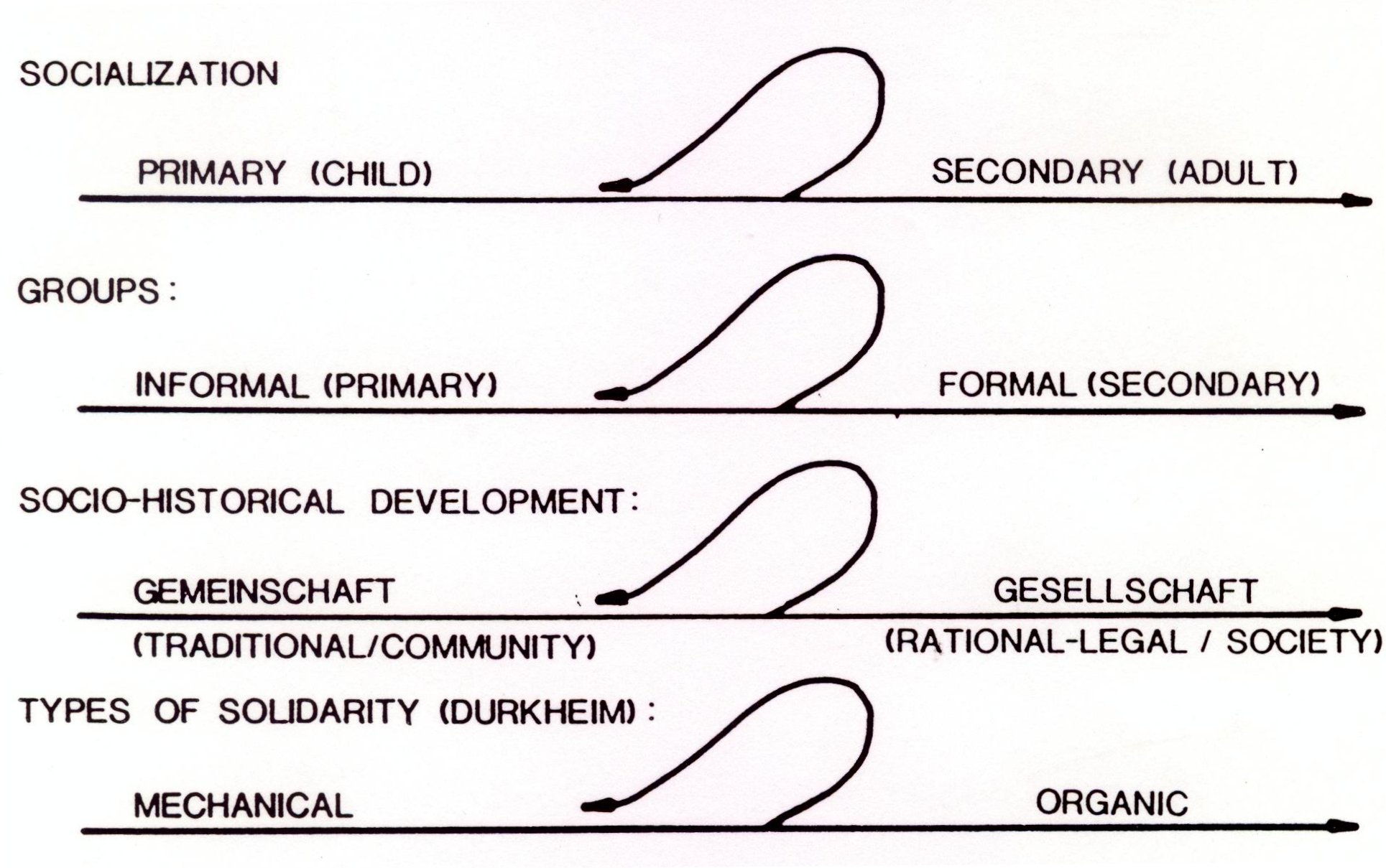 Biological Drawing Rules