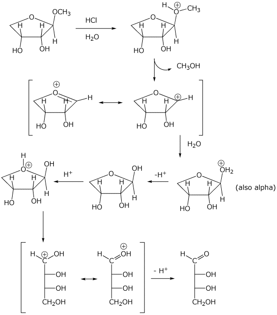 acid-hydrolysis-of-sucrose