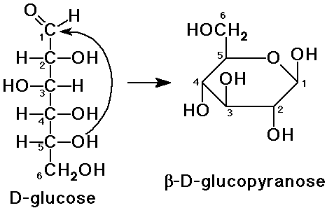 hemiacetal functional group