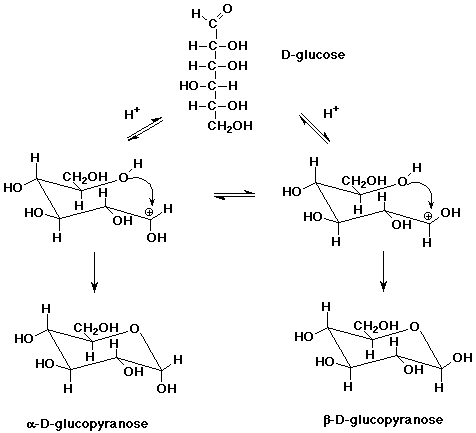 Glucose Hemiacetal