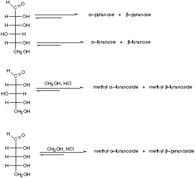 Chair Ochem