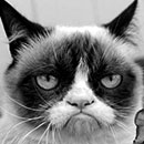grumpy cat looking grumpy in black and white