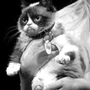 grumpy cat being held in black and white