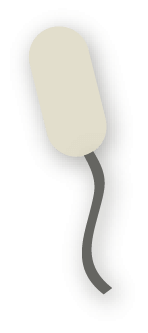 tampon