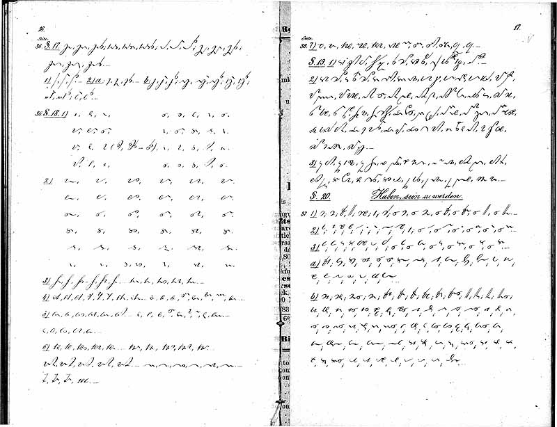 Stenograph Transcript. Example introduction