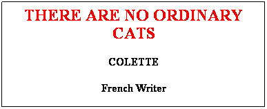 Text Box: THERE ARE NO ORDINARY CATS
COLETTE
French Writer
 

