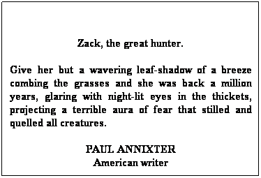 Text Box:  
Zack, the great hunter. 
Give her but a wavering leaf-shadow of a breeze combing the grasses and she was back a million years, glaring with night-lit eyes in the thickets, projecting a terrible aura of fear that stilled and quelled all creatures.
PAUL ANNIXTER
American writer
