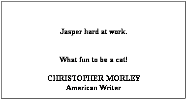 Text Box:  
Jasper hard at work. 
 
What fun to be a cat!
CHRISTOPHER MORLEY
American Writer
