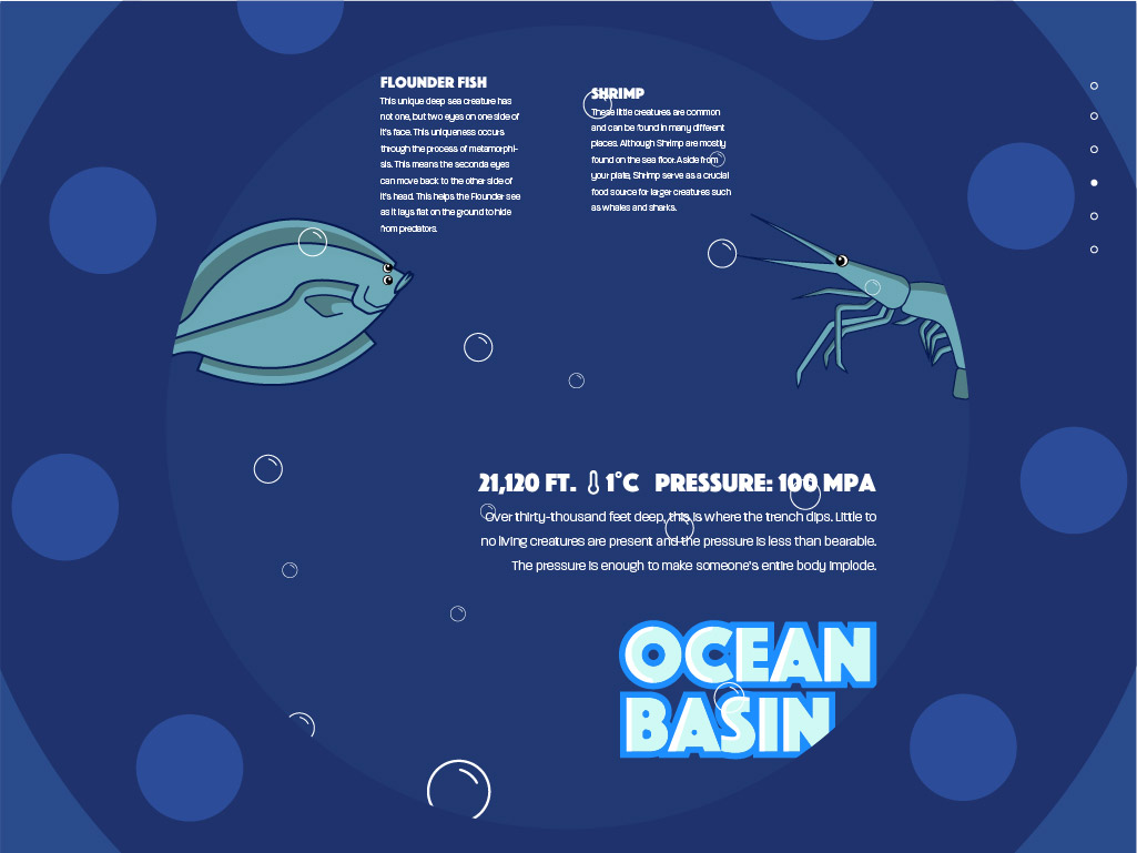 Final Comp Ocean Basin Page