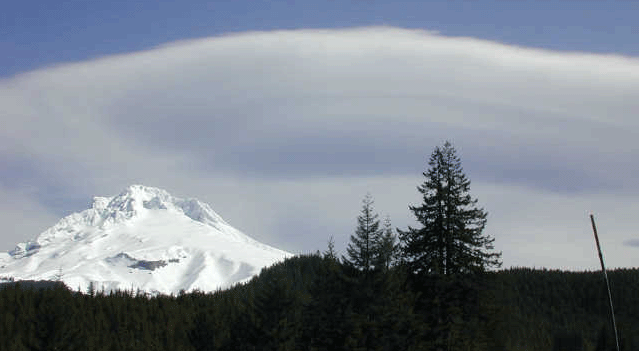 lenti