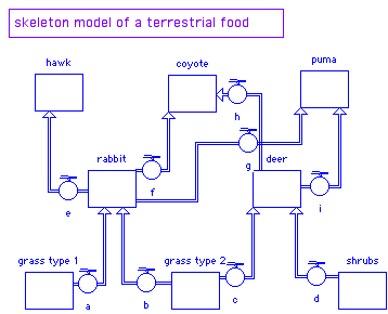 three layered food web model