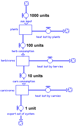 food chain from primary producers through carnivores