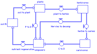 recyling in food web