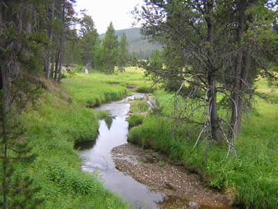 boulders-yellowstone