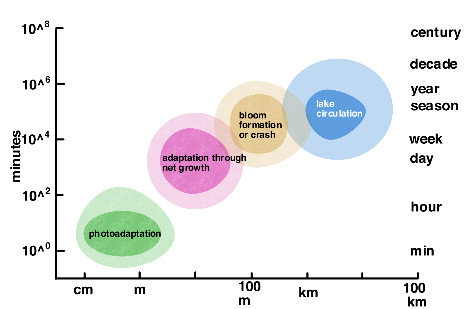 UKL scale