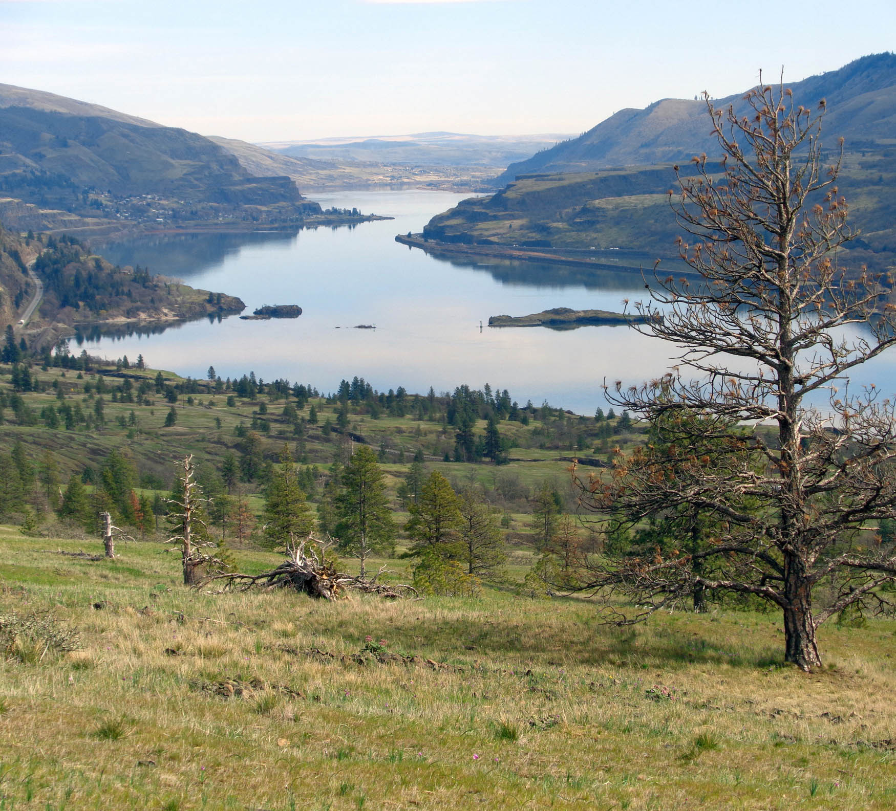 Coyote Wall in the Columbia Gorge