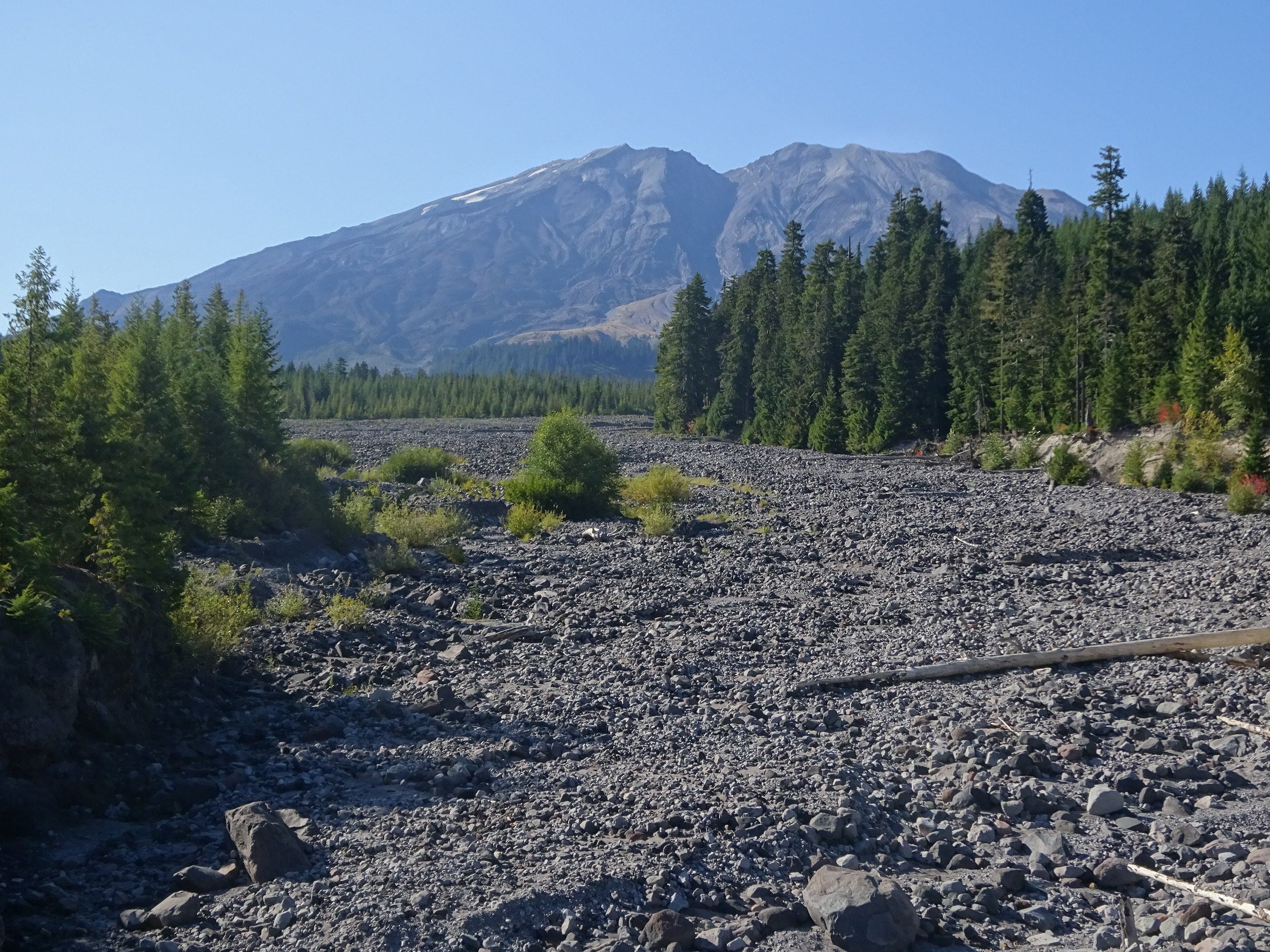 Mt. St. Helens from near Stratigraphy viewpoint