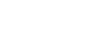 Ever Decreasing Steve Logo.