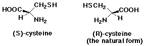 nh2co2h lewis structure