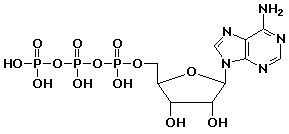 ConcepTest questions