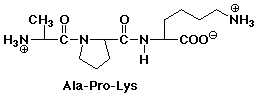 Ala's. Трипептид Ala asp LYS. Трипептид asp-Ala-Pro. Met LYS Ala трипептида. Ала АСП Pro Glu LYS..